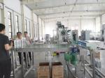 Automatic Liquid Filling Machine Series With 6 /8 / 12 Nozzles Automatic Filling