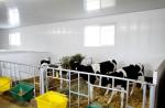 High Gloss Printing 5mm - 10mm PVC Ceiling Panels For Farm Wall / Roof CE