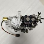Hyunsang Parts Pump Assy YM723945-51320 YM72394551320 Fuel Injection Pump WB93R