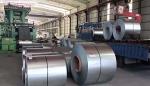 Hot Dip AFP GI Galvanized Steel Coil Sheet SGCC DX51D G60 Z80 Z100 Zinc Coated