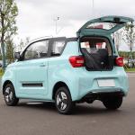 High-speed electric vehicle 4 seat new energy vehicle adult electric car with