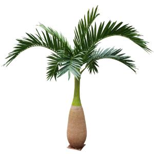China Custom Height Artificial Bottle Palm Tree Outdoor Landscpae Rainforest Theme Park Faux Plant factory