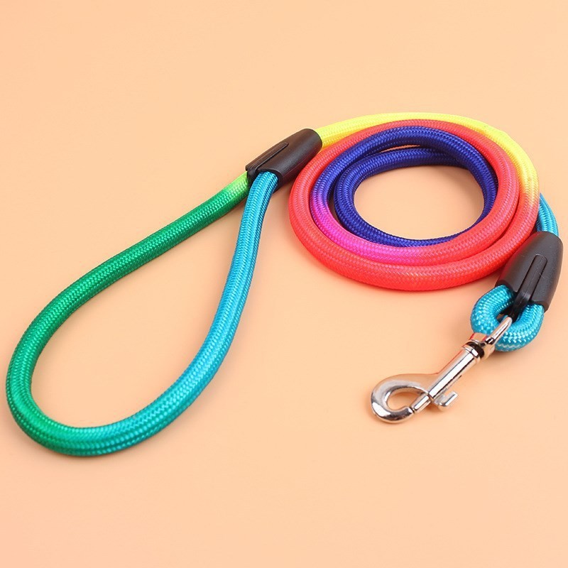 dog on lead