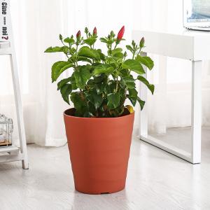 China Wavy Surface Beaker 1.5L Bulk 15cm recycled plastic Resin Plant Pots factory