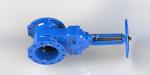 Red / Blue Ductile Iron Gate Valve For Water Circulation System / Cooling System