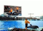 Swimming Pool Full Color SMD Epistar P4 Outdoor Led Module