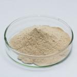 Water Soluble Protease And Trypsin 2000 For Food And Feed Processing