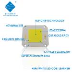 smd led chip 4046 55w 80w 100w Flip Chip COB LED , 2700-6500K COB LED Chips
