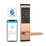 Bluetooth Wifi Keyless Password Door Lock For Home Apartment