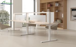 China 2 Shelves Office Workstation Of Open Space Perfect for Space-Saving Storage Needs factory