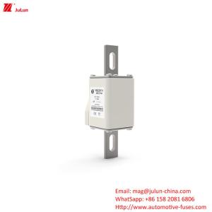China 160A-550A DC1000V Electric Vehicle Fuse RSZ307-1-Q5Z Terminal Type Bolt-on Fuses factory