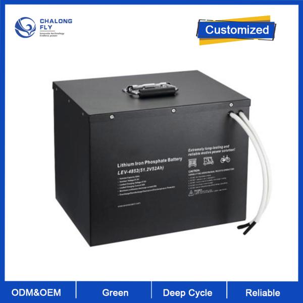 ODM OEM LiFePO4 lithium battery Pure Sine Wave 24V 48V 51.2V 100Ah 150Ah 200Ah