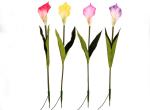LED Simulation Calla Lily Lights Park Lawn, Beautiful Display, Decorative