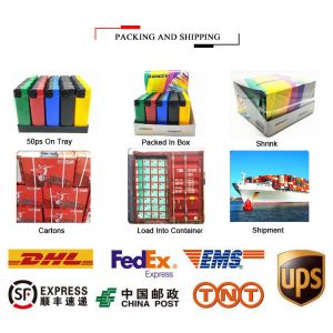 Fashionable Design Dy-F018 Windproof Plastic Gas Lighter with Customization