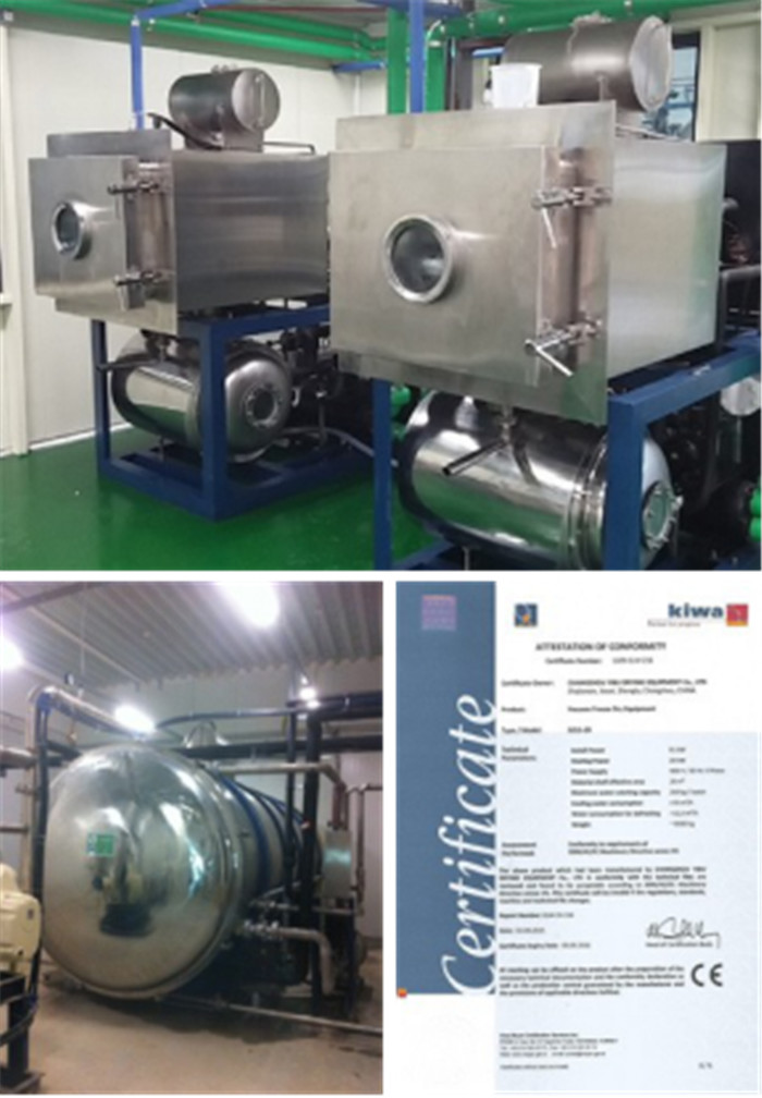 Fruits Vegetables 10m2 Vacuum Freeze Drying Machine