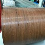 SGS ISO Galvanised Steel Sheet Coil Mill Edge Color Coated Sheet Coil