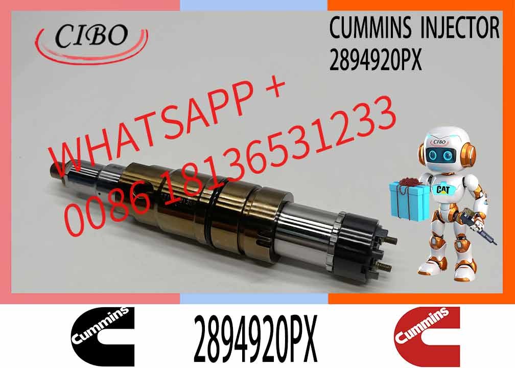 Diesel Common Rail Injector 2057401 2419679 4905880 2894920PX 2482244For C-ummins ISZ13 Engine