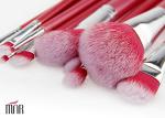 Beautiful Travel Professional Makeup Brush Set 11 Piece With Nylon Hair Red