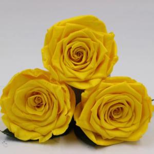 China Wholesale real preserved rose head with fresh rose smell everlasting rose factory