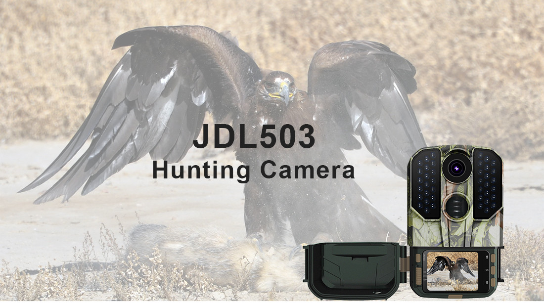 32mp Infrared Night Vision Critter Cameras 10fps Infrared Wildlife