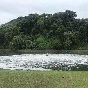China TSR High Speed Surface Aerator For Wastewater Treatment factory