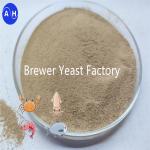 High Activity Dry Yeast For Improved Digestive Health With Saccharomyces