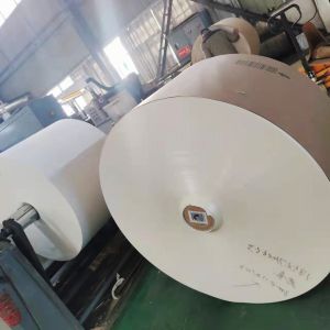 Virgin Wood Pulp PE Coated Paper Roll for Waterproof and Greaseproof Packaging