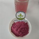 mulberry juice powder buy best dried mulberry powder health benefits supplement