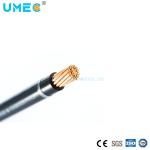 Thhn Thwn Standard PVC Building Electric Wire Dry Wet Wire for Versatile