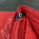 Waterproof and Tear Resistant Pe Tarpaulin 20x30 30x50 40x60 Sizes for Multiple