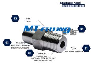 China F347 2000LBS Forged High Pressure Pipe Fittings , Stainless Steel Hex Nipple factory