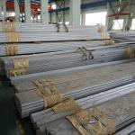 306 316 321 Steel Flat Hot Rolled Hot Rolled Steel Flat Bar Decoration Industry