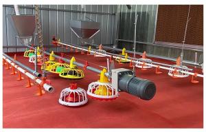 China Poultry Breeding Pressure Regulating Valve Broiler Feeding System factory