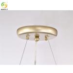 9 Light Acrylic Metal Chandelier Glass Pendant Light Clear Beads Firework