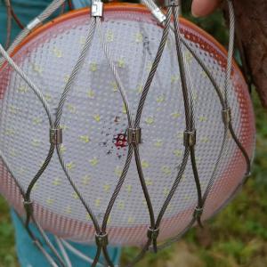 China Stainless Steel 316 7 X 7 Cable Anti Drop Cover Safe Net Falling Prevention Net factory