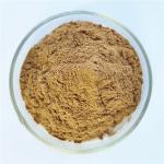 Skin Whitening Herba Pogostemonis Extract