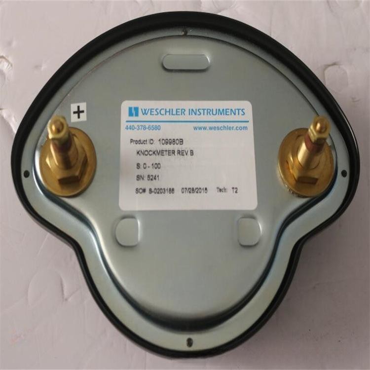 Waukesha Knock Aeter 109980B