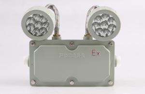 China LED WORK LIGHTS LWLC137017 2W FOR INDUSTRIAL LIGHTING factory
