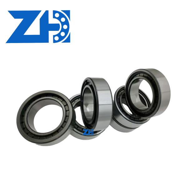 High quality hot selling 183010 Cylindrical Roller Bearing gives you an