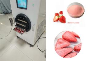 China Stainless Steel Home Mini Freeze Dryer LCD Touch Screen factory