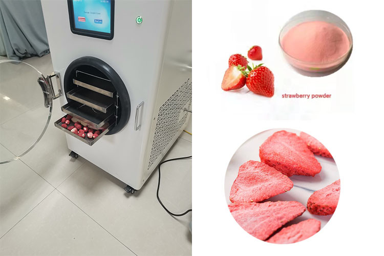 4Kg 6Kg 10Kg Compact PLC Controlled Mini Freeze Dry Machine