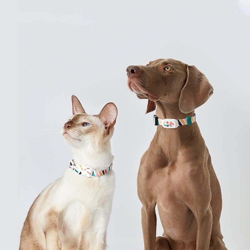 4G LTE Geofencing Alerts Pet Smart Tracker Battery Powered Cat Tracker Collar OEM