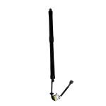 Car Tailgate Lift Support 81770A9100 81780A9100 For Kia Carnival Car Electric
