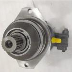 A6VE28 A6VE160 A6VE160EZ2/63W-VZL020B A6VE160HA1/63W-VZL020A Hydraulic Piston