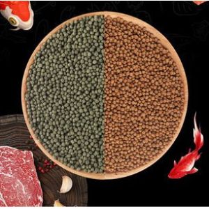 Automatic 500kg/H Double Screw Floating Fish Feed Machine