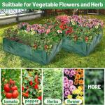 Garden Planter, Fabric Grow Beds Divided Grids, Planting Bags with Drainage