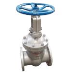 20mm-50mm PN16 API JIS 304/316 Stainless Steel Flange Gate Valve for Water or