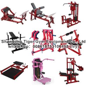 China Gym Fitness Equipment glute machine / Glute Drive / Strength Hip and Glute / Glute Extension / Glute builder machine factory