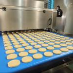 Automatic Small Biscuit Making Machine/Machine biscuit/Biscuit Cookie Machine