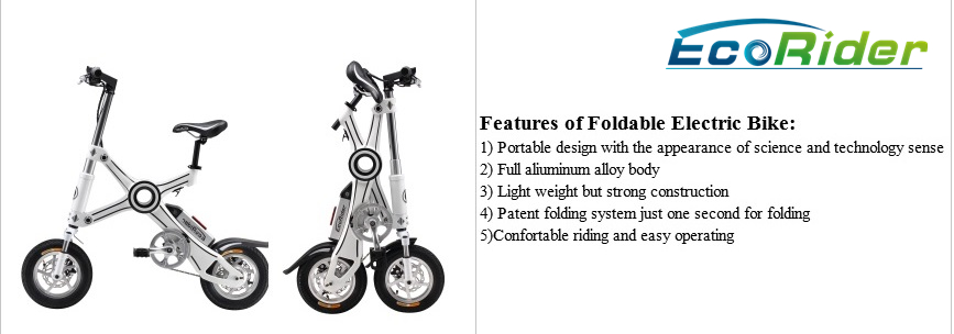 Foldable Electric Bike